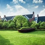 le jour du déménagement à Bruxelles